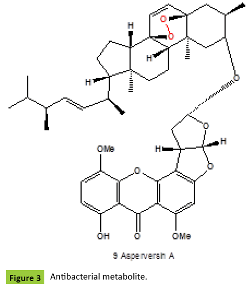 mycology-Antibacterial-metabolite