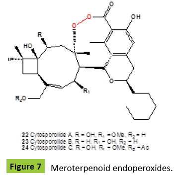 mycology-Meroterpenoid-endoperoxides