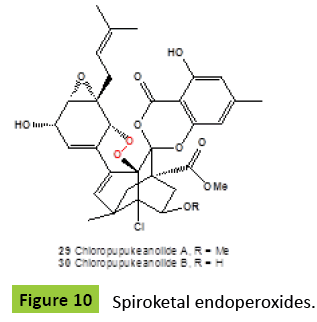 mycology-Spiroketal-endoperoxides