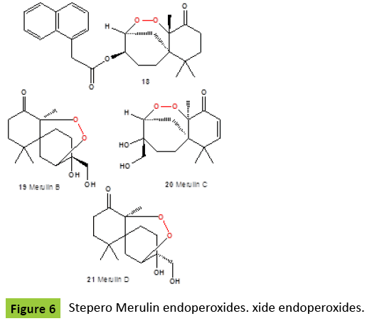 mycology-Stepero-Merulin-endoperoxides