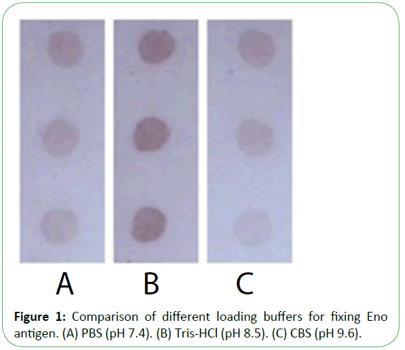 mycology-buffers-fixing