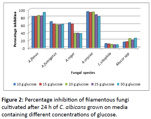 mycology-different-concentrations-glucose