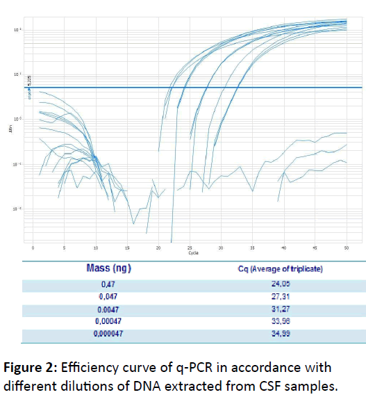 mycology-efficiency-curve