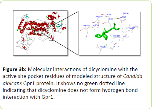 mycology-modeled-structure