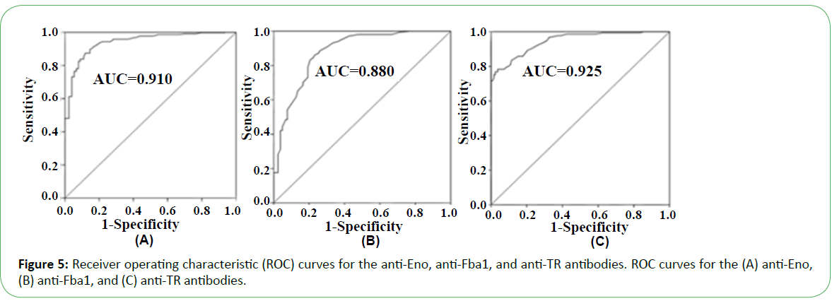 mycology-operating-curves-anti-Eno