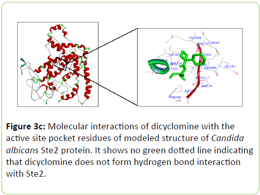 mycology-pocket-residues