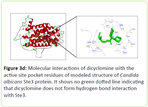 mycology-pocket-residues