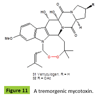 mycology-tremorgenic-mycotoxin